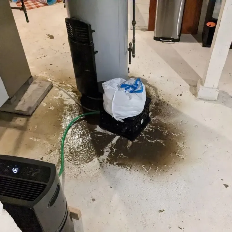 Sewage Backup Cleanup Service in Ellicott, CO